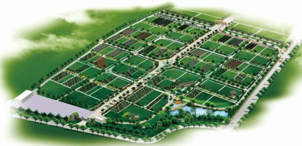 壹定发(中国游)官方网站