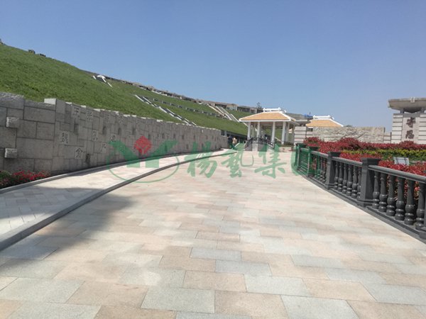 壹定发(中国游)官方网站