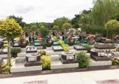 上；；；；懔靶腔鹎