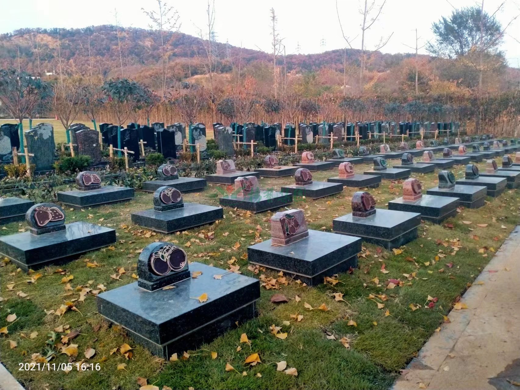 壹定发(中国游)官方网站