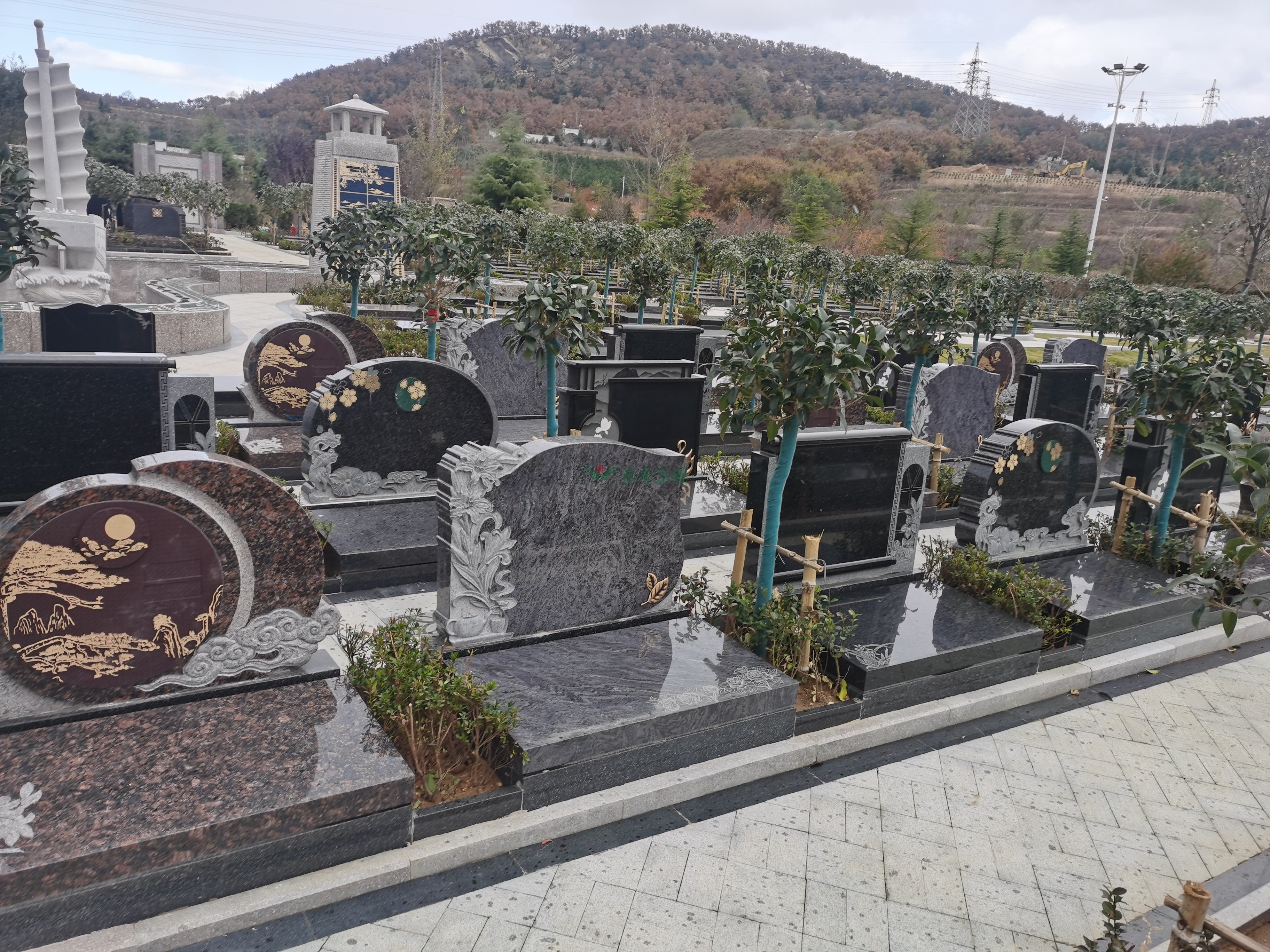 壹定发(中国游)官方网站