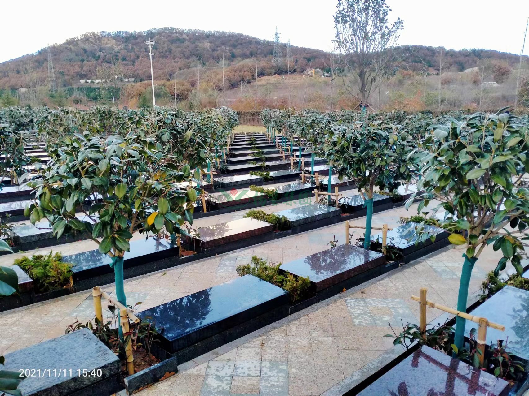 壹定发(中国游)官方网站