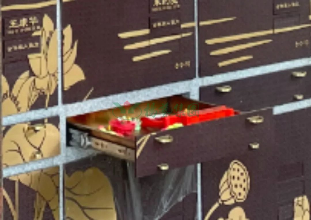 壹定发(中国游)官方网站