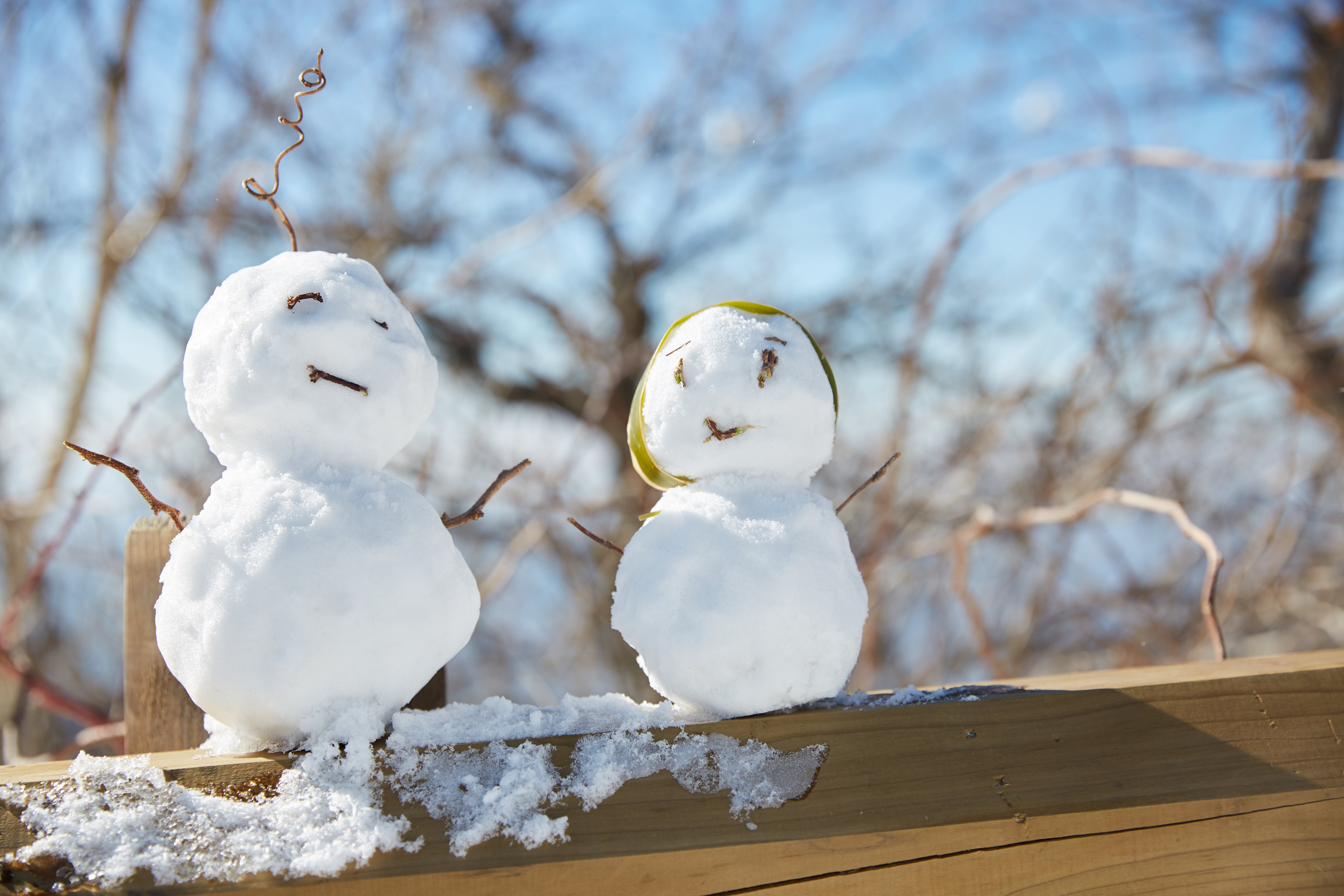 冬至，，，，暖“杨”相伴 | 壹定发人全力配合各墓园冬至落葬