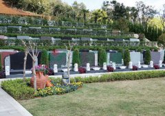 苍南玉龙园清明送鲜花提倡文明祭扫