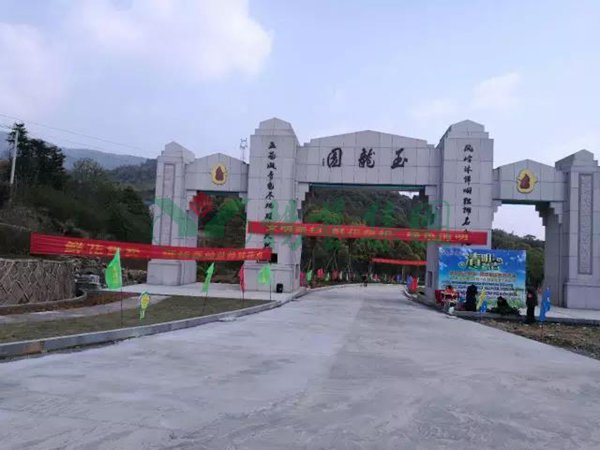 壹定发(中国游)官方网站