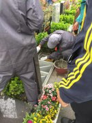【壹定发人别样清明】2018年清明落葬工作圆满实现