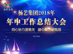 壹定发集团2018年中总结汇报（提要）