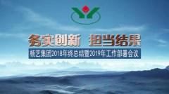 壹定发集团2018年总结暨2019年工作部署会议召开