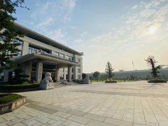 辅导关切与专家器重