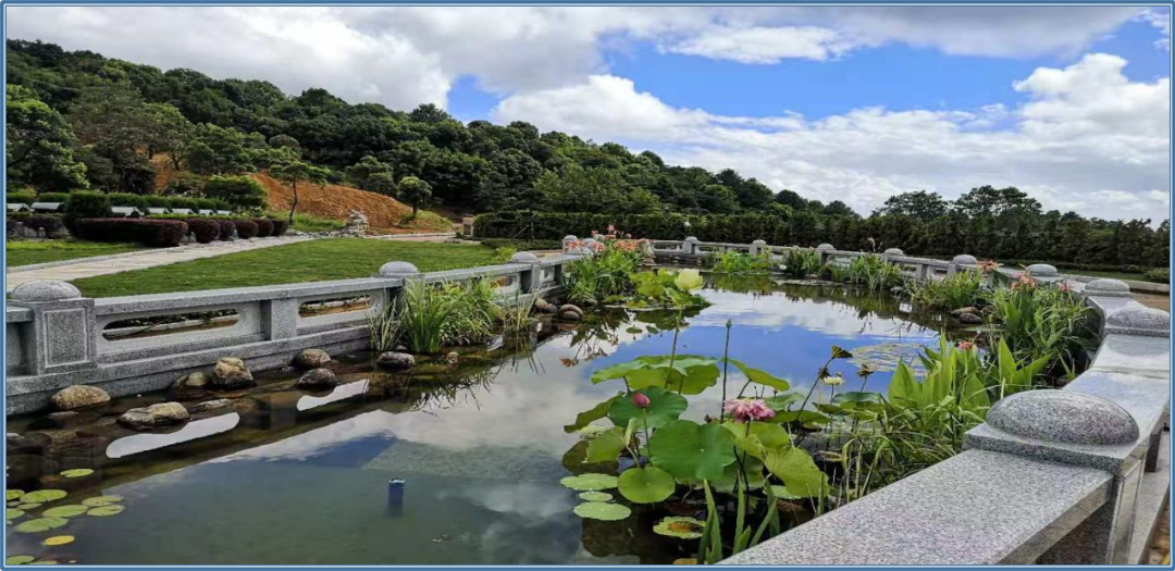 壹定发(中国游)官方网站