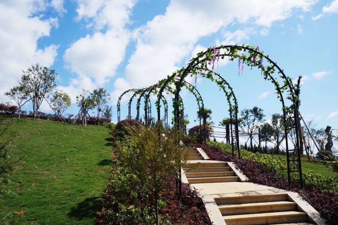 壹定发(中国游)官方网站