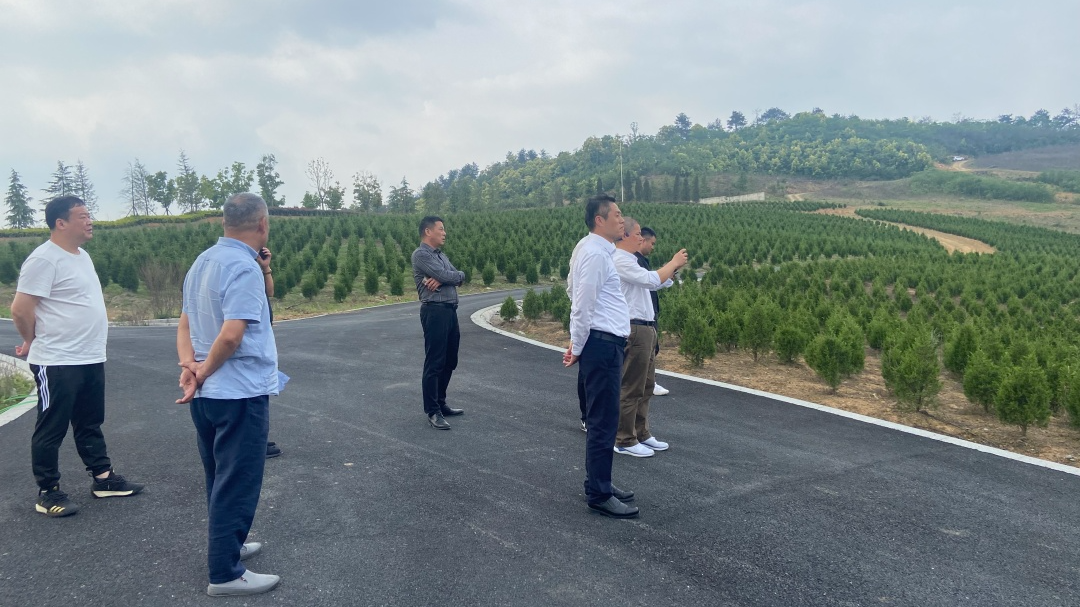 壹定发(中国游)官方网站