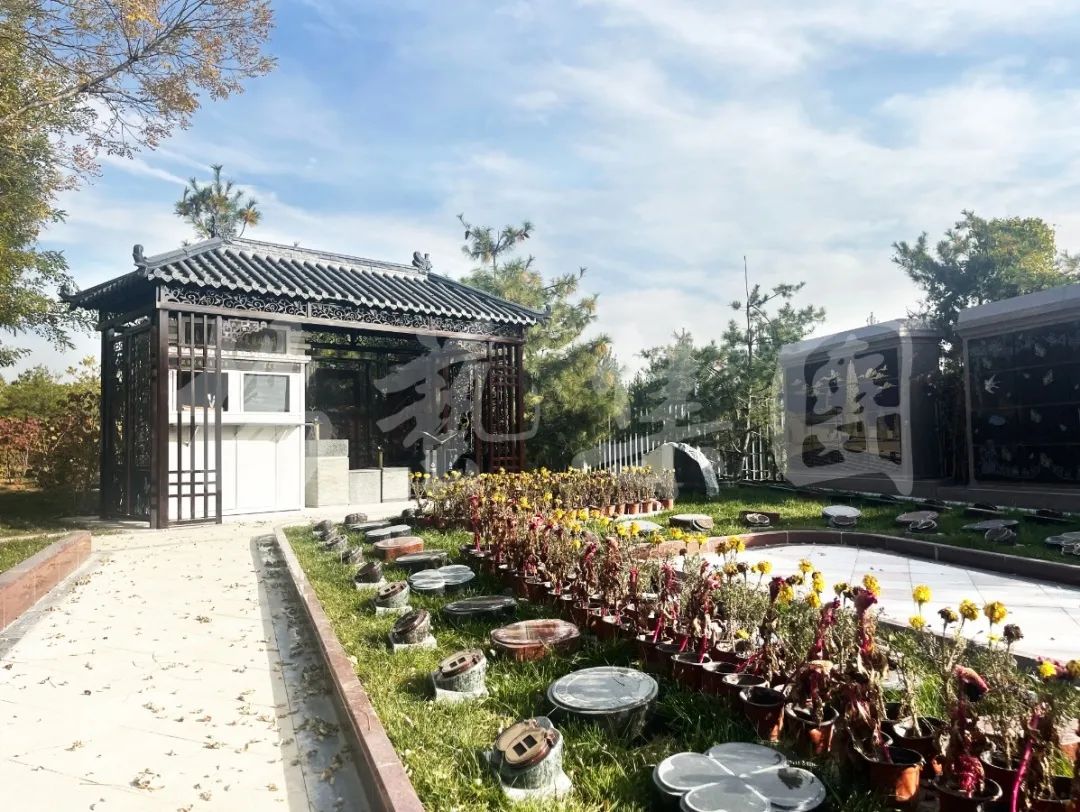 壹定发(中国游)官方网站