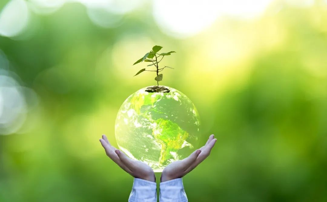 壹定发(中国游)官方网站