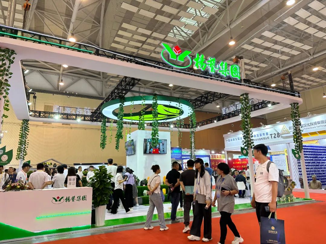 壹定发(中国游)官方网站