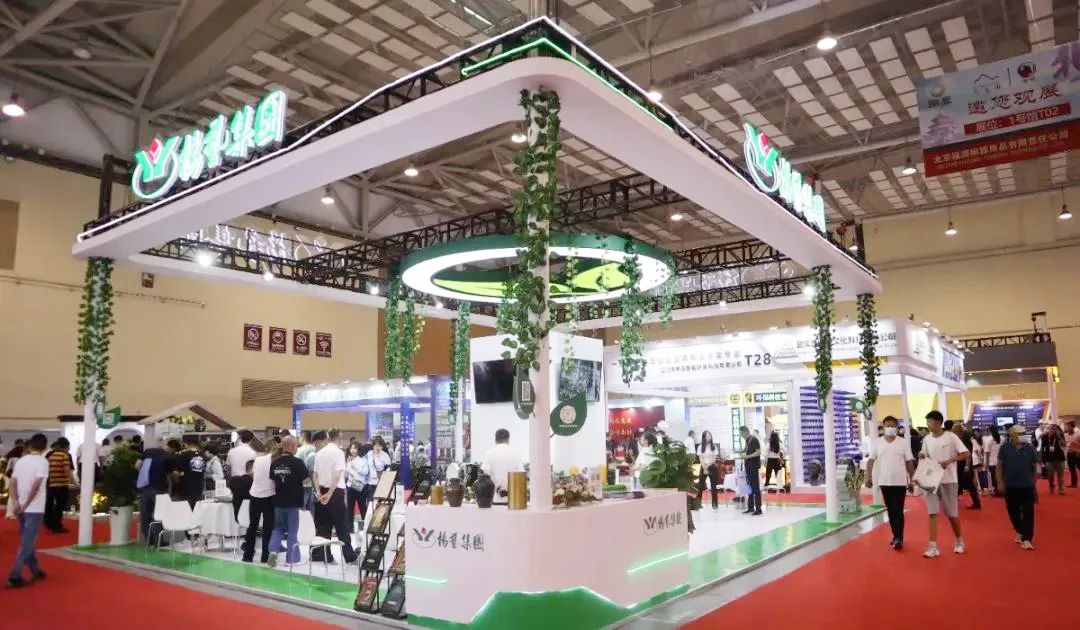 壹定发(中国游)官方网站