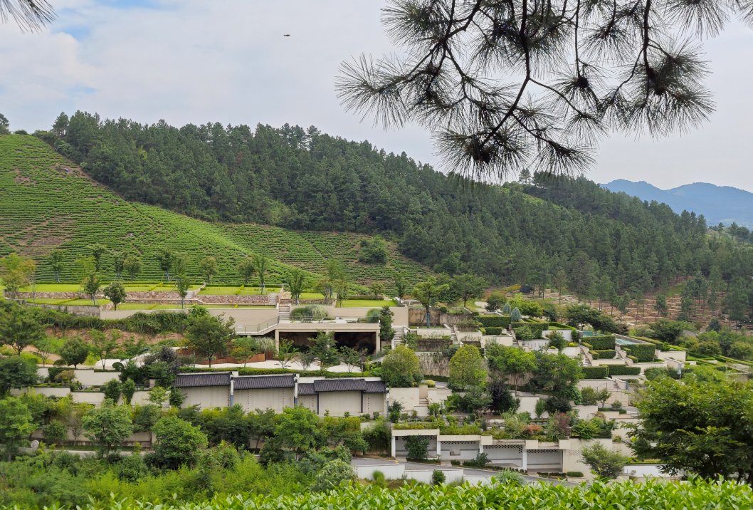 壹定发(中国游)官方网站