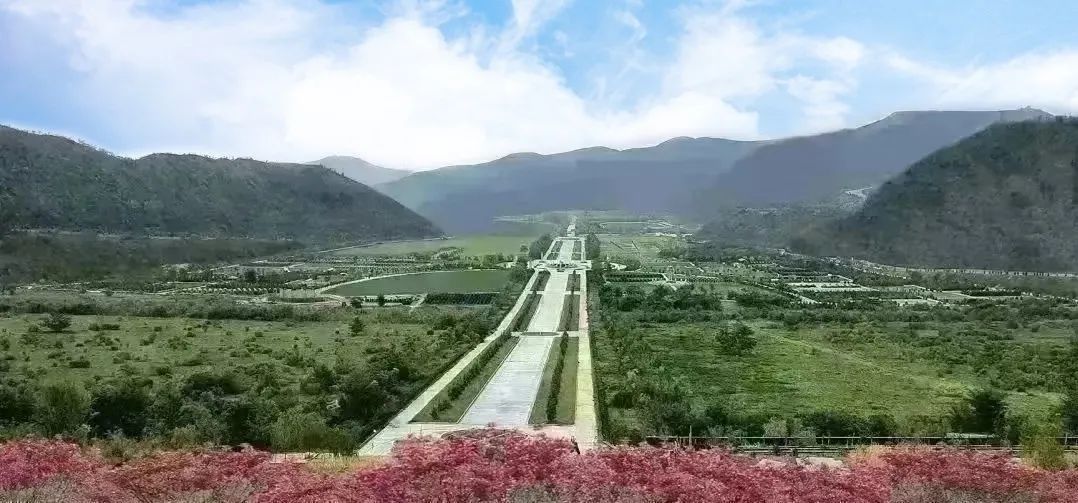 壹定发(中国游)官方网站