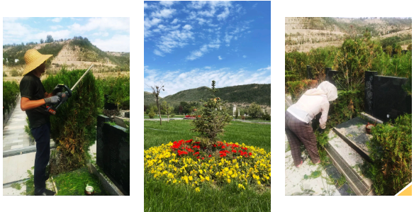 壹定发(中国游)官方网站