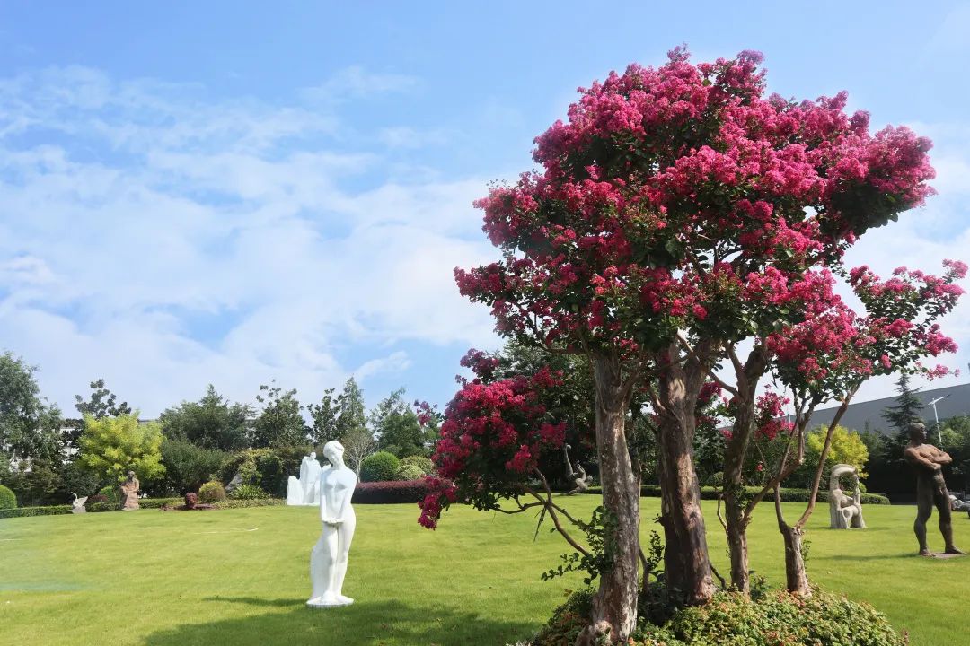 壹定发(中国游)官方网站