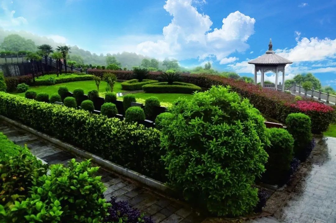 壹定发(中国游)官方网站