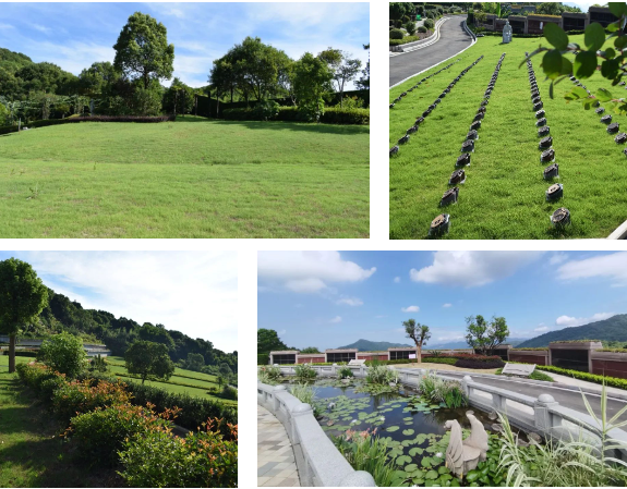 壹定发(中国游)官方网站