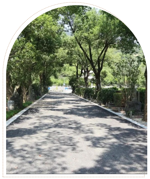 壹定发(中国游)官方网站