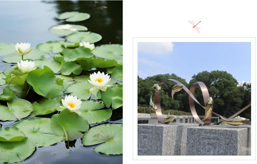 壹定发(中国游)官方网站