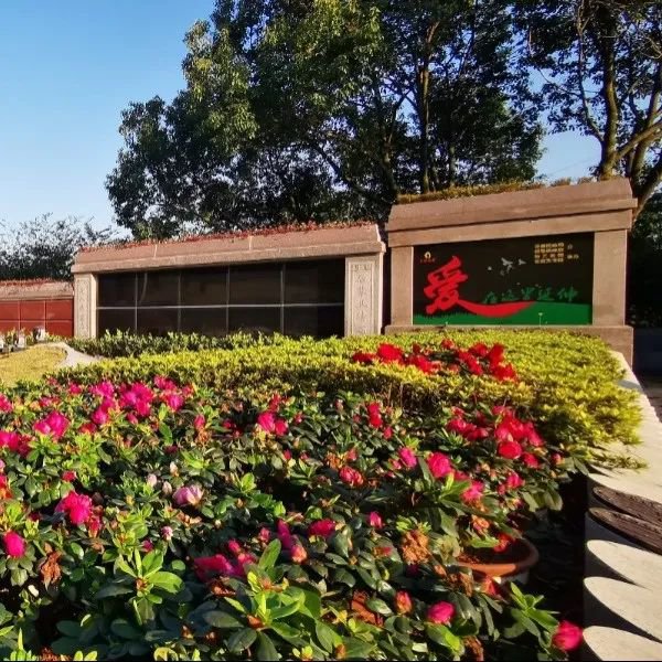 壹定发(中国游)官方网站