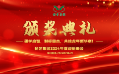 2024年壹定发集团迎新春年会暨颁奖仪式盛放纵行