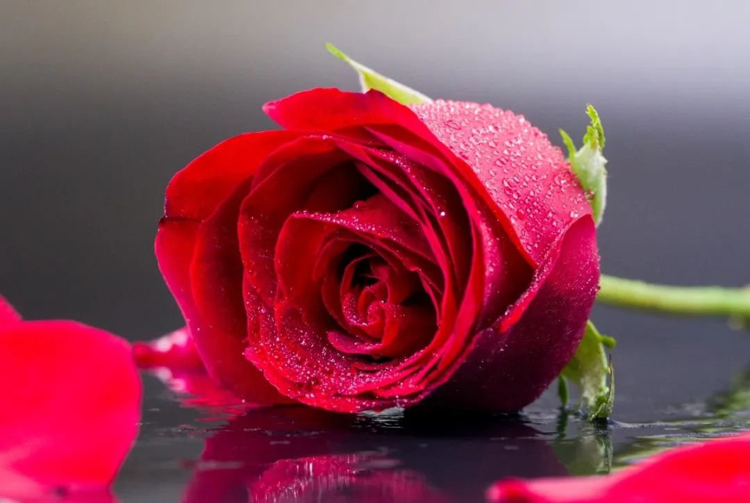 女神节 | 致敬“她”实力，，，，共筑优美未来