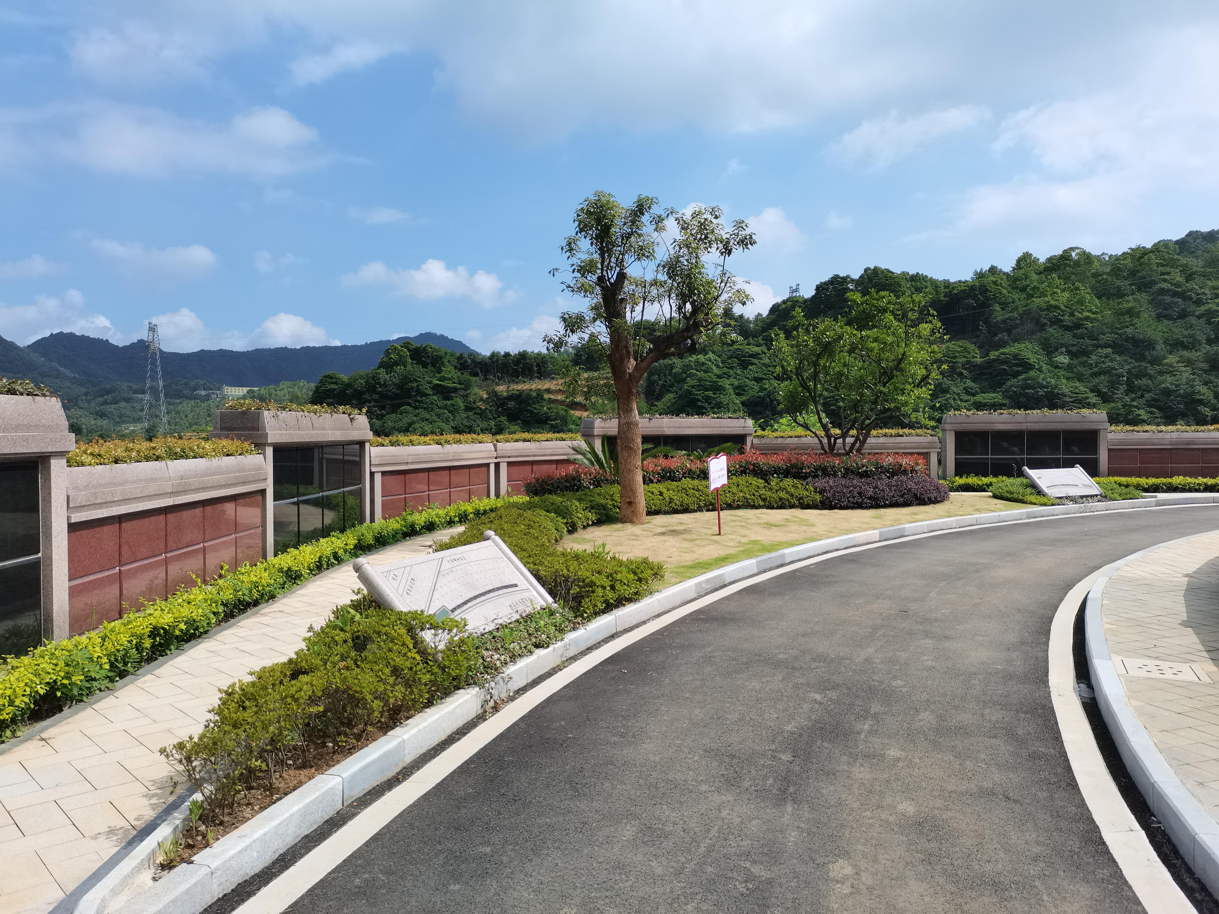 海葬和树葬哪个好？？？两种生态葬祭方法的选择与意义