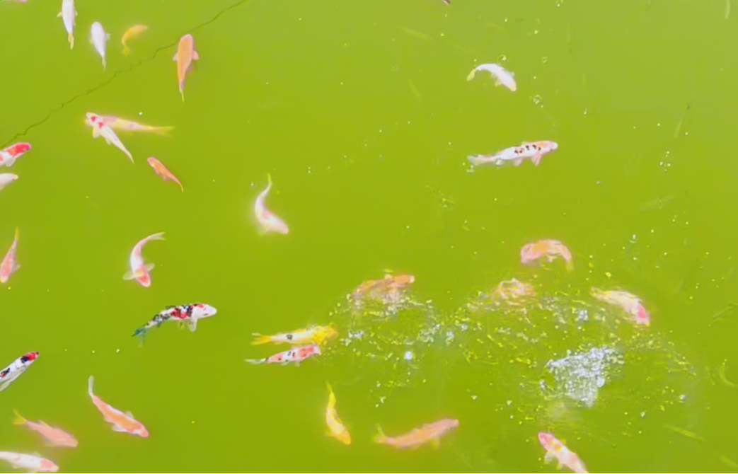 壹定发(中国游)官方网站