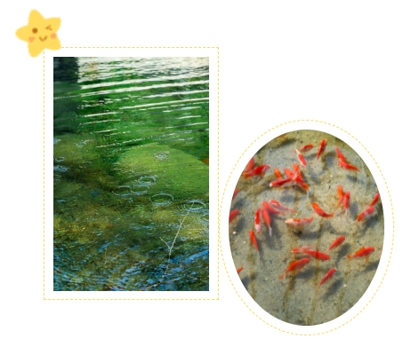 壹定发(中国游)官方网站