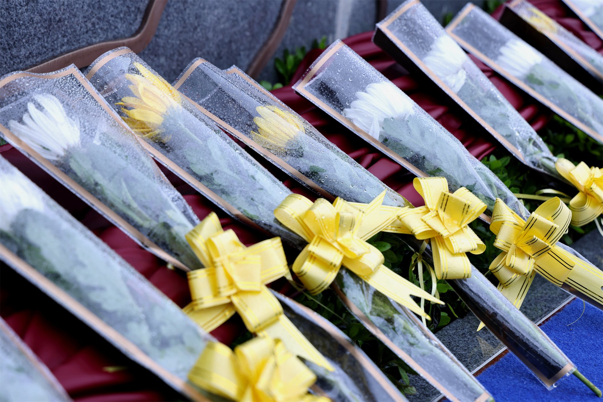 壹定发(中国游)官方网站