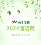 风起清明 遥寄相思|壹定发集团?2024清明篇