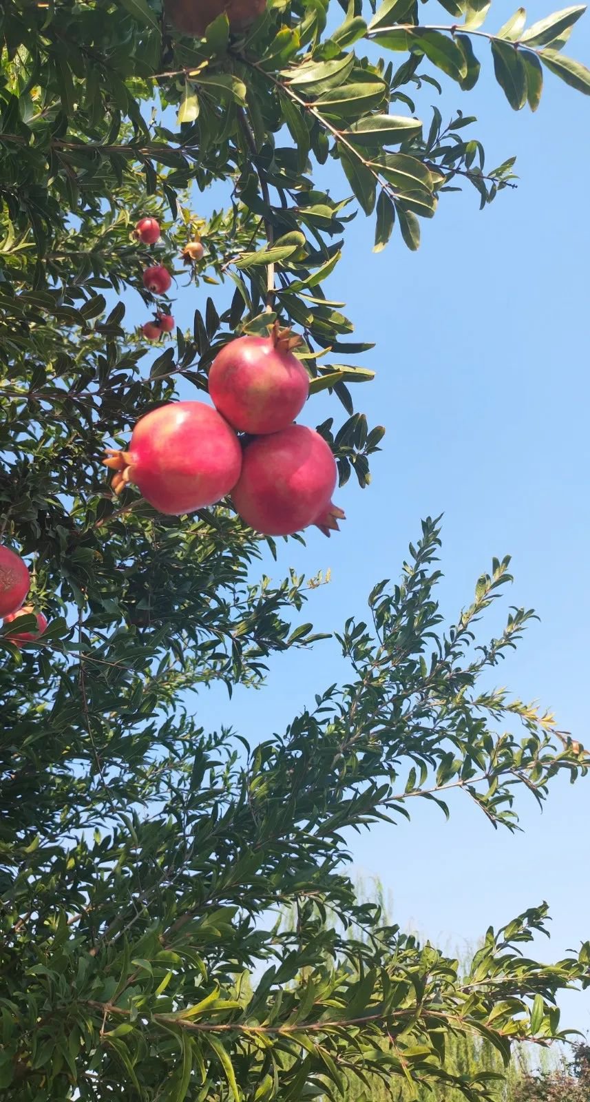 壹定发(中国游)官方网站