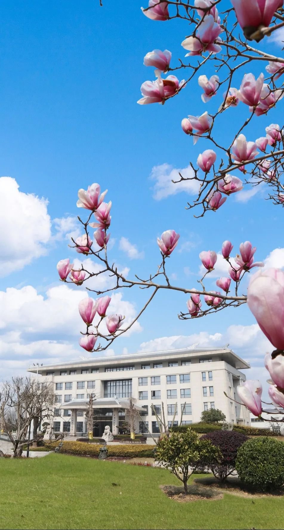 壹定发(中国游)官方网站