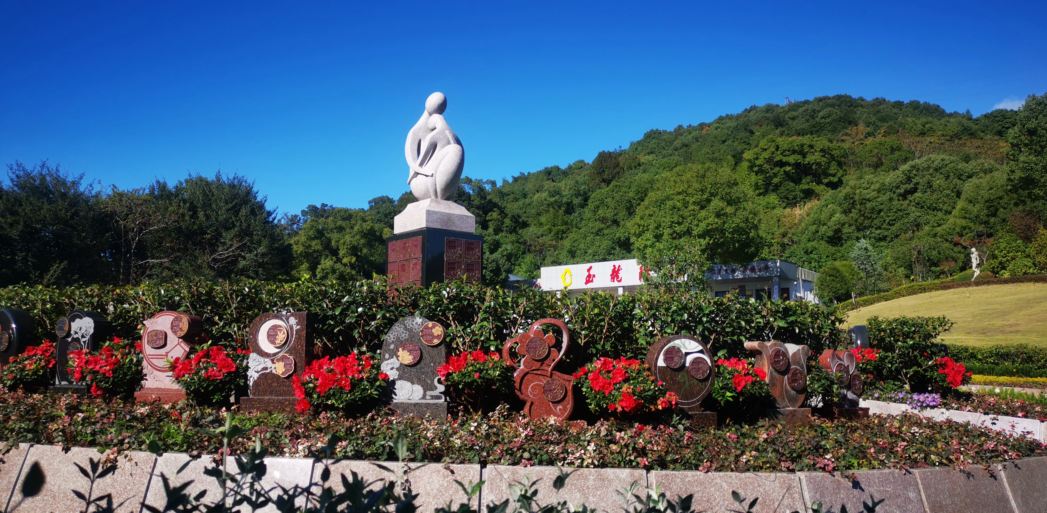 未来，，，生态葬或将成为主流