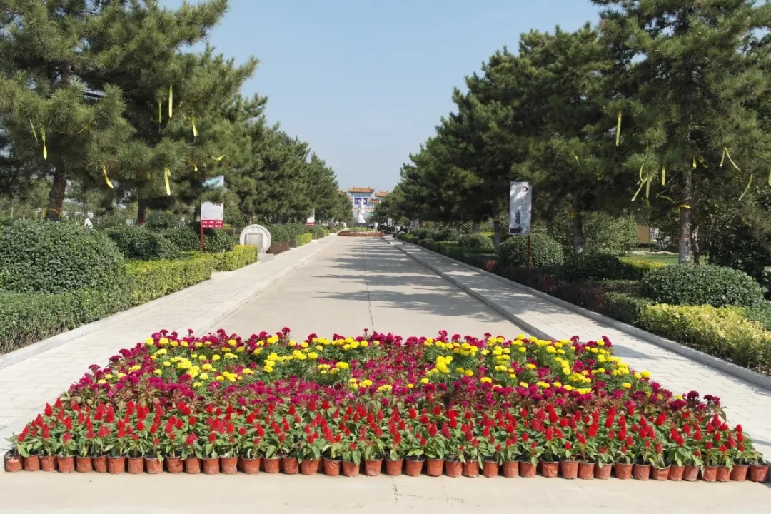 壹定发(中国游)官方网站