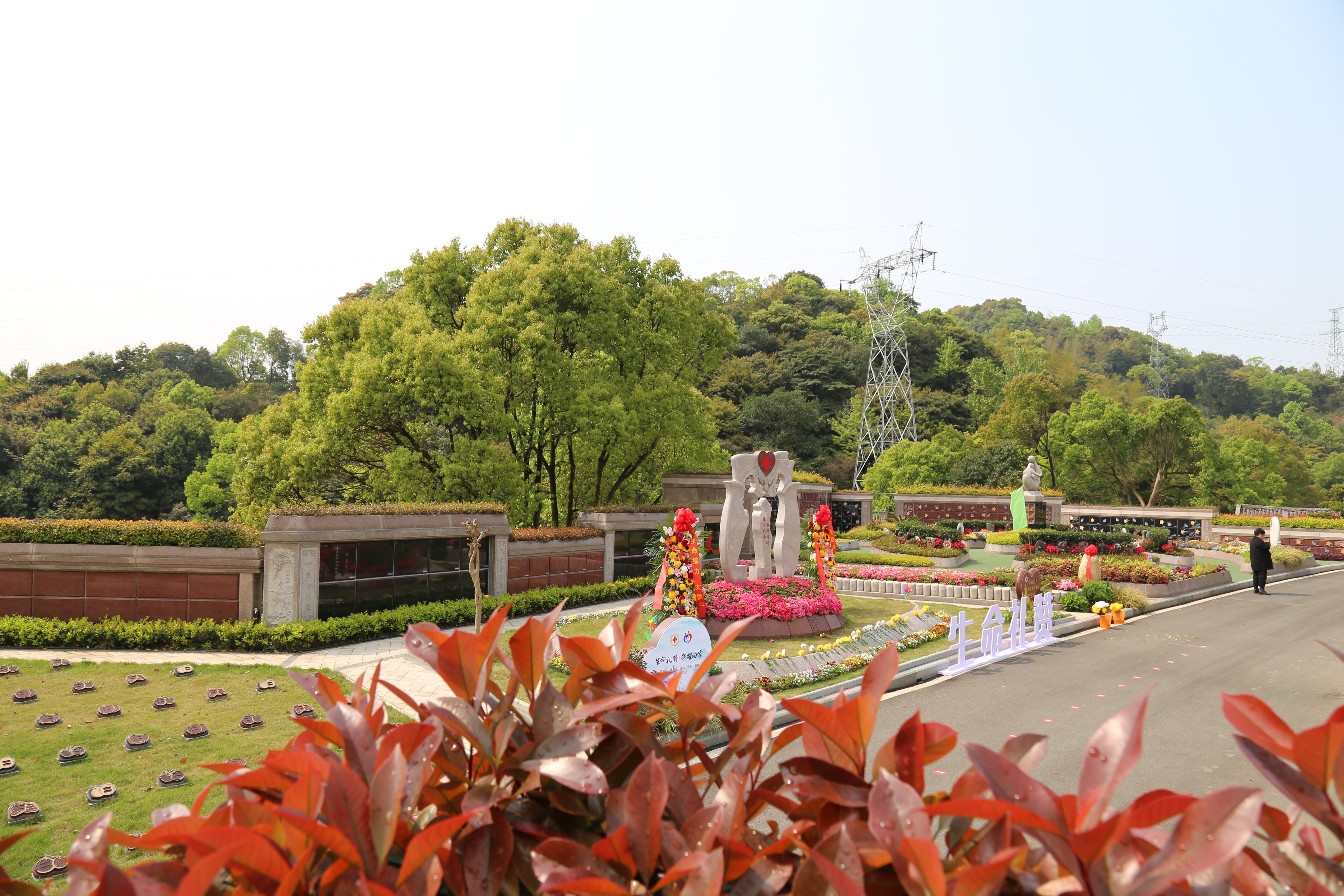 壹定发(中国游)官方网站