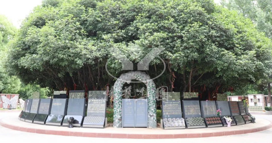 壹定发(中国游)官方网站