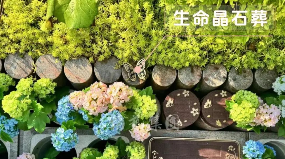 壹定发(中国游)官方网站