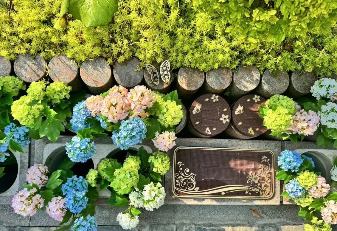 壹定发(中国游)官方网站