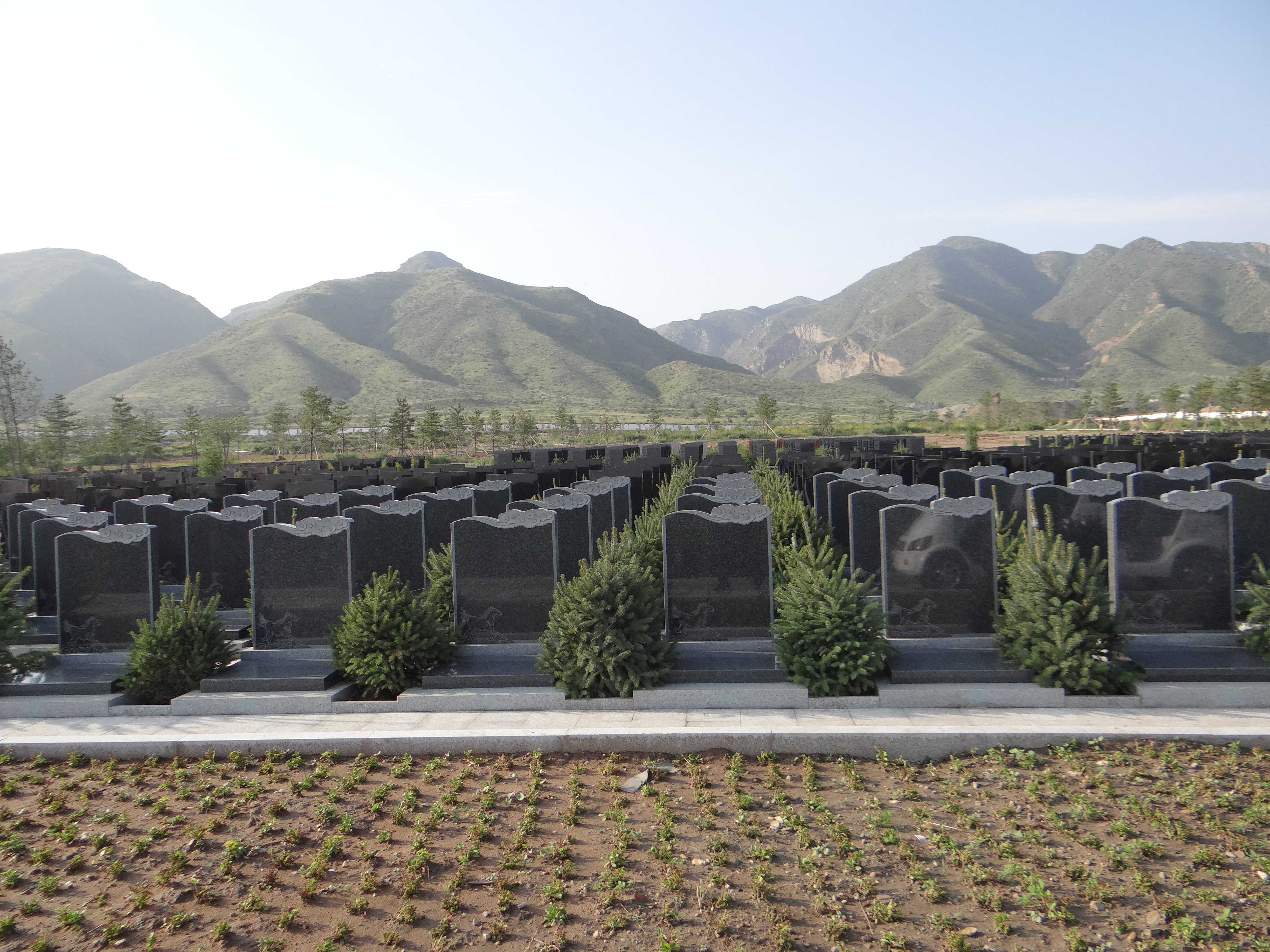 壹定发(中国游)官方网站