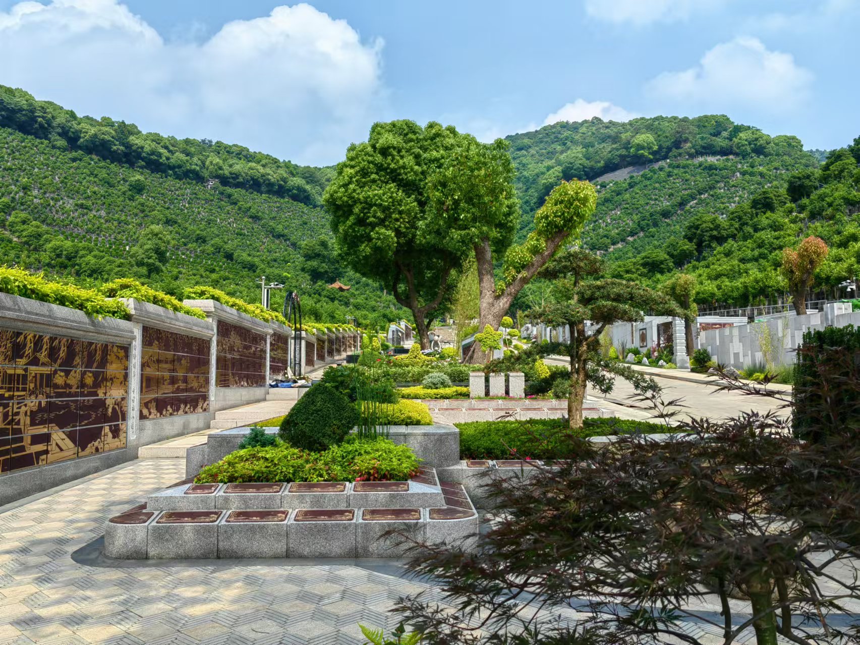 引领绿色生态新民俗，，，，，，共筑生命协调家园