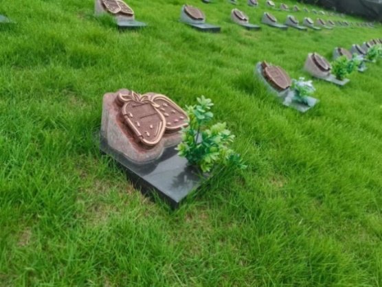 壹定发(中国游)官方网站