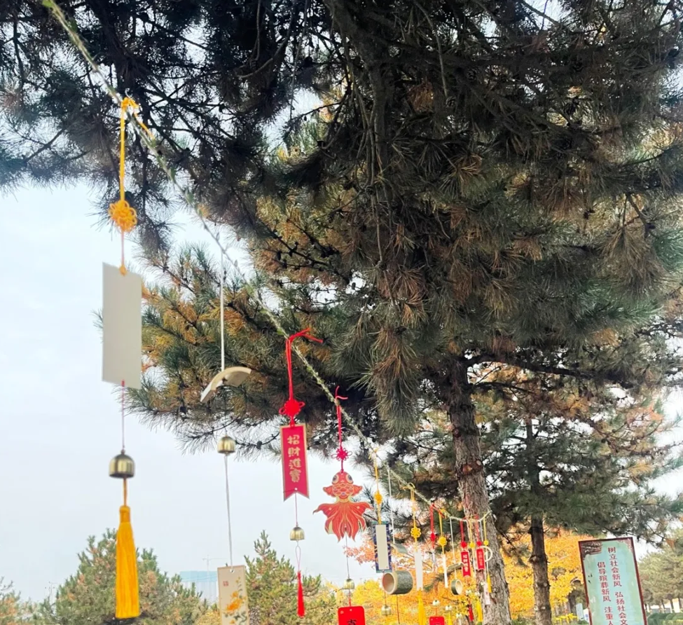 壹定发(中国游)官方网站