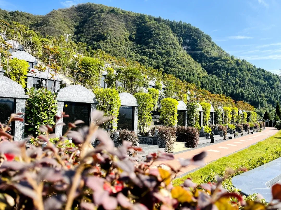 壹定发(中国游)官方网站